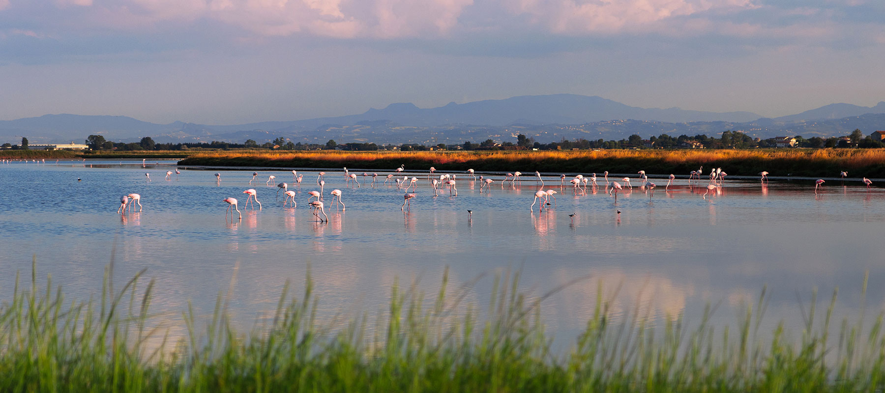 Cervia