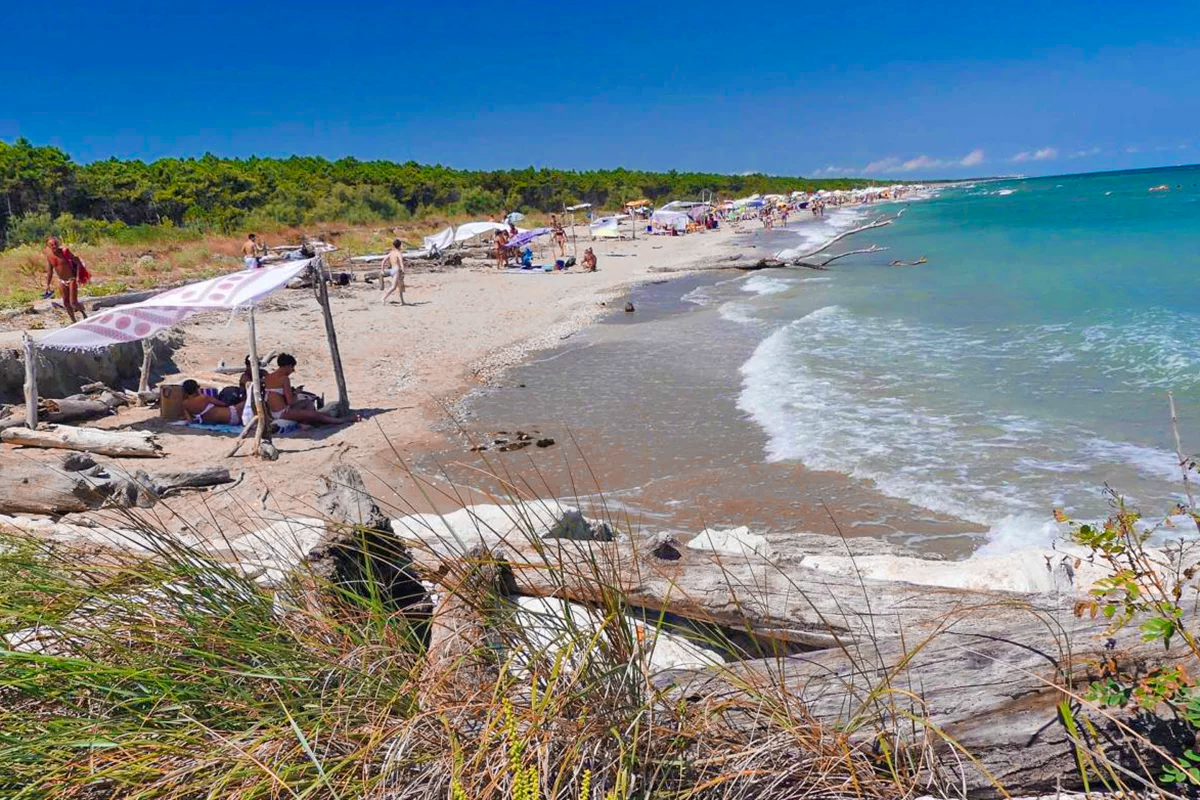 Lido di Dante