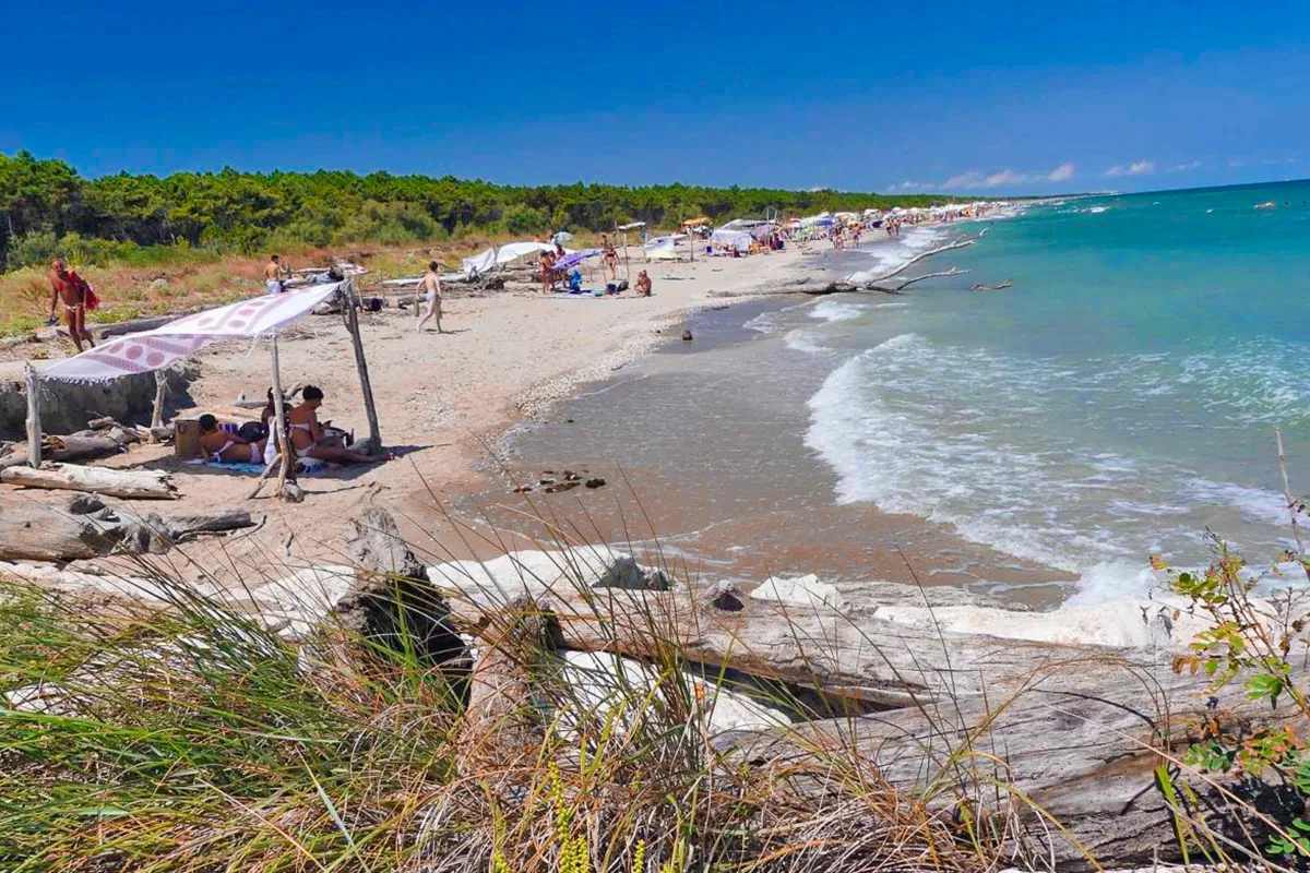 vista spiaggia a lido di Dante