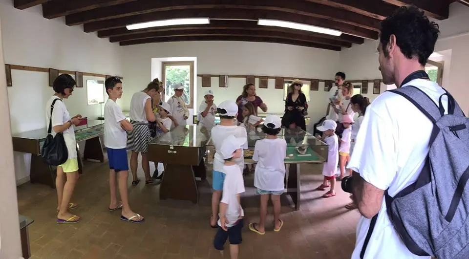 Museo delle Conchiglie a Bellaria