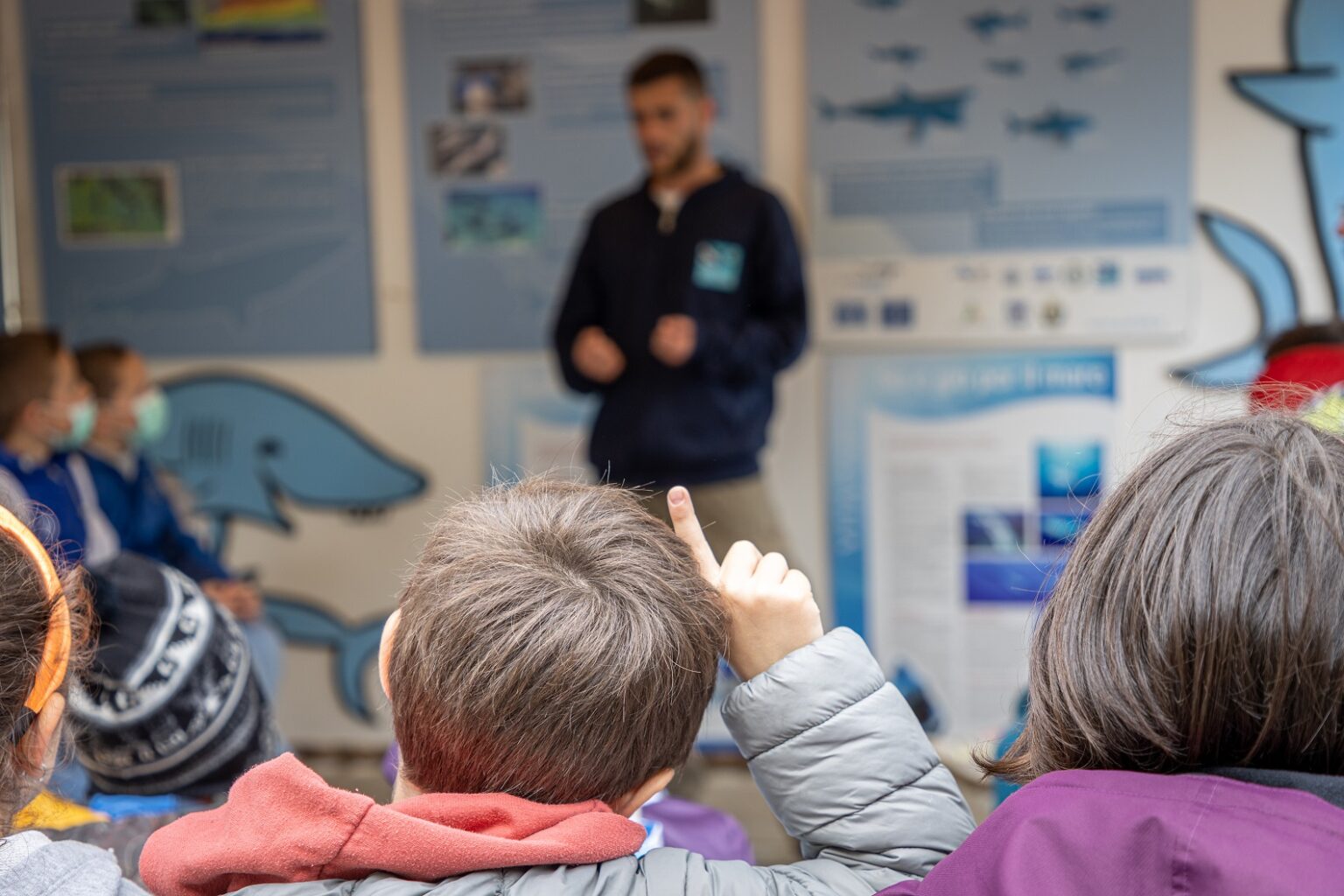 visita guidata all'ospedale delle tartarughe